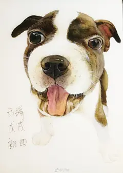 加个滤镜好看多了应该用张大纸。。。
#水彩速涂##水彩##手绘##汪星人##狗年图片##插画·心情##波士顿##大年初四##摸鱼# ​​​​