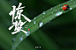 春雷阵阵！36款惊蛰字体设计