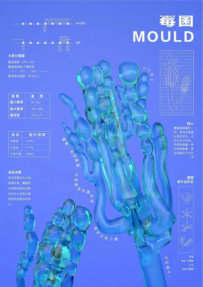 张天宁、高天琦 作品名称：消极的潮湿 指导老师：毛德宝 学校：中国美术学院-花瓣网