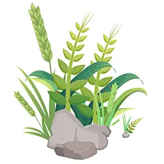 小满麦子小满场景麦穗石头手绘高清模板免费下载-趣麦麦图