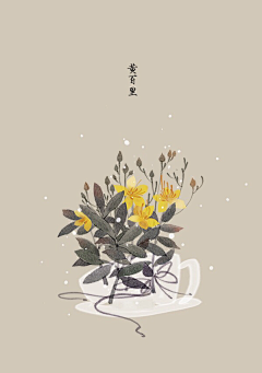 YN么宁采集到花卉