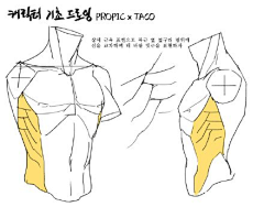 秃头敢采集到肌肉
