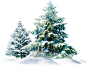 圣诞树 png 免抠素材