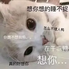 有哪些可以哄女朋友的表情包？ - 知乎 : 别怕我来了！！！！本来想着让男朋友 @小张也很懒 来答题，算了，还是我们这个仙女儿来叭，有些是男/女通…