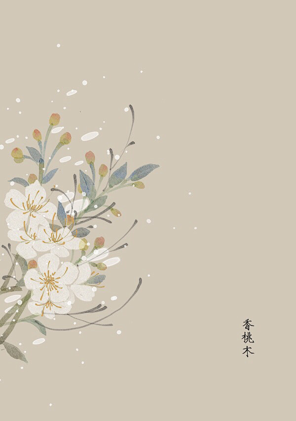 水彩 植物花卉 插画 artistic青...