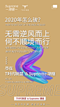 招商-5