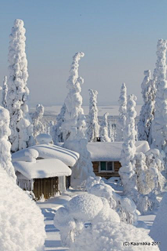 满满呢采集到你见过雪吗~我这里有哎