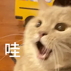 猫猫表情包21｜太有趣啦！_4_啊啊希vi_来自小红书网页版