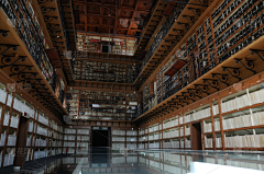 透明藤蔓采集到古代场景局部