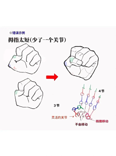 羊羊羊丶羊采集到手