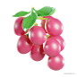 Grape - @到位啦UI素材 3D水果高精度模型