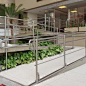 an outdoor stair case with plants growing on it