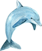 水彩手绘海底生物小丑鱼水母珊瑚海星鲸鱼免抠PNG图案平面PS素材 (89)