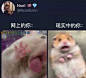 微博 – 随时随地发现新鲜事