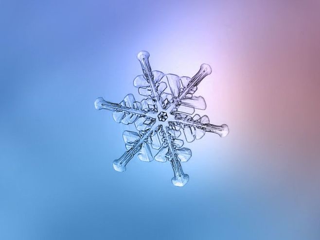 绘画资料精美的雪花图片欣赏