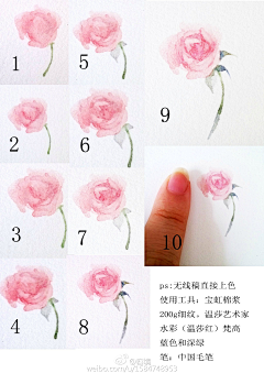 提提琴采集到花的画法