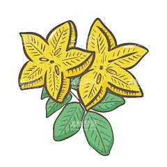 卡通杨桃  - 源文件下载【酷图网】卡通杨桃素材,杨桃,杨桃海报素材,杨桃广告,水果,瓶贴,可爱,宣传,杨桃素材,图片,杨桃包装,美味,新鲜杨桃,卡通杨桃,插画,插图,免扣,素材,元素,矢量,卡通,手绘,手绘杨桃,标志,logo,简约,图案,图标,杨桃插画,儿童绘本,矢量杨桃,卡通水果,促销,清新,礼盒,线稿,复古,叶子,星,五角星,