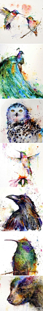 美国艺术家Dean Crouser 的动物水彩画