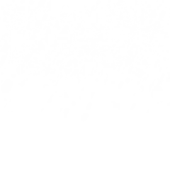雪花1