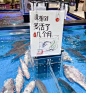 大润发-202206冷宫里的蔬菜