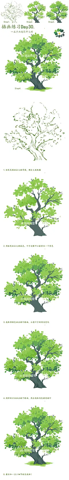 零基础插画教程｜五步画超简单大树~_1_插画师壹零_来自小红书网页版