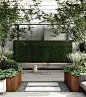 rooftop garden on Behance-4