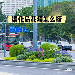 fITlobMl采集到植物