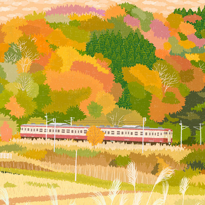 TABINEKO-Autumn colo...
