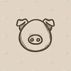 猪的头素描图标.