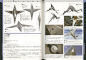 20161009145015_PSZwE.jpeg (3000×2079)