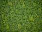 maya-mahalingam-moss2.jpg?1585705185 (1.36 MB,1980*1500)