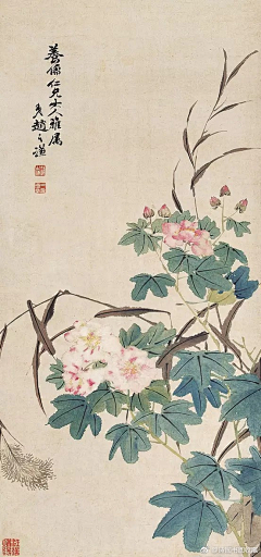 来自星星的小汪采集到素材
