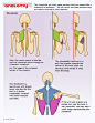 Drawsh: Anatomy