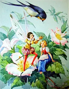 听童话学俄语：拇指姑娘（六）_沪江俄语学习网