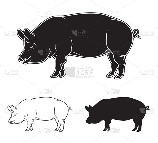 猪,动物手,腰肉,牛排,菜单,部分,动物...