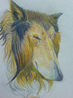 Dante  的插画 彩铅狗