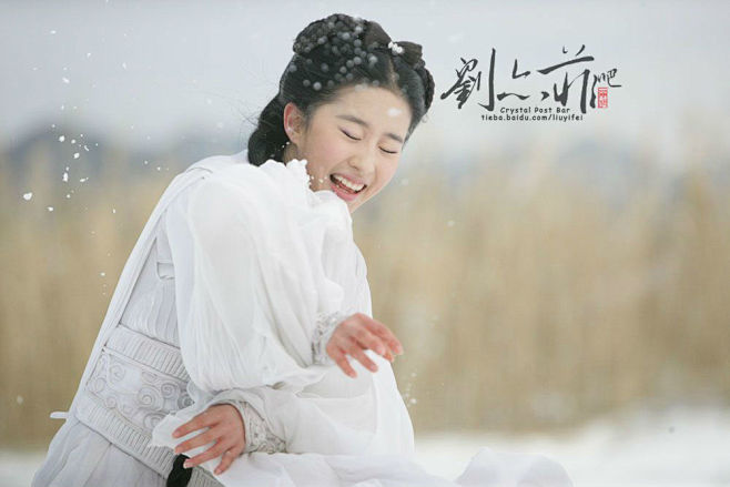 刘亦菲0 (3)