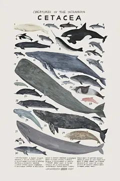 动物手帐素材
水彩插画超话#插画##动物# 9.2 ​​​​