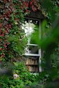 Library Window, Bristol, England
