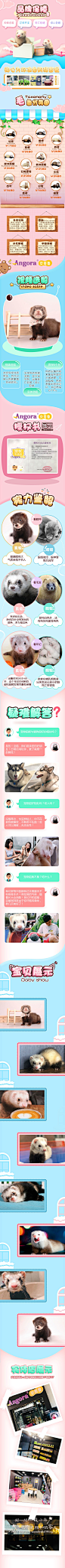 宠物详情页