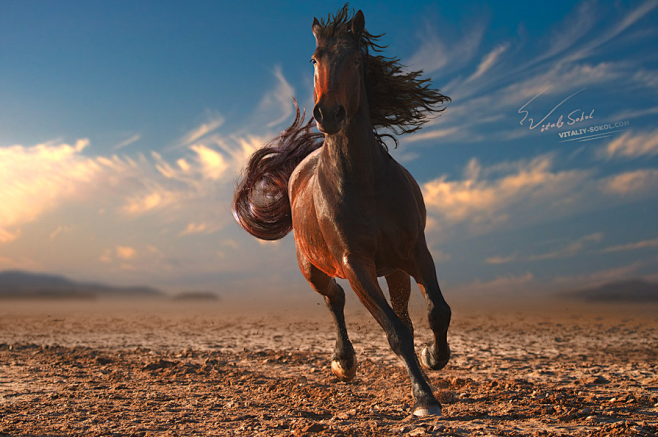 horseheaven