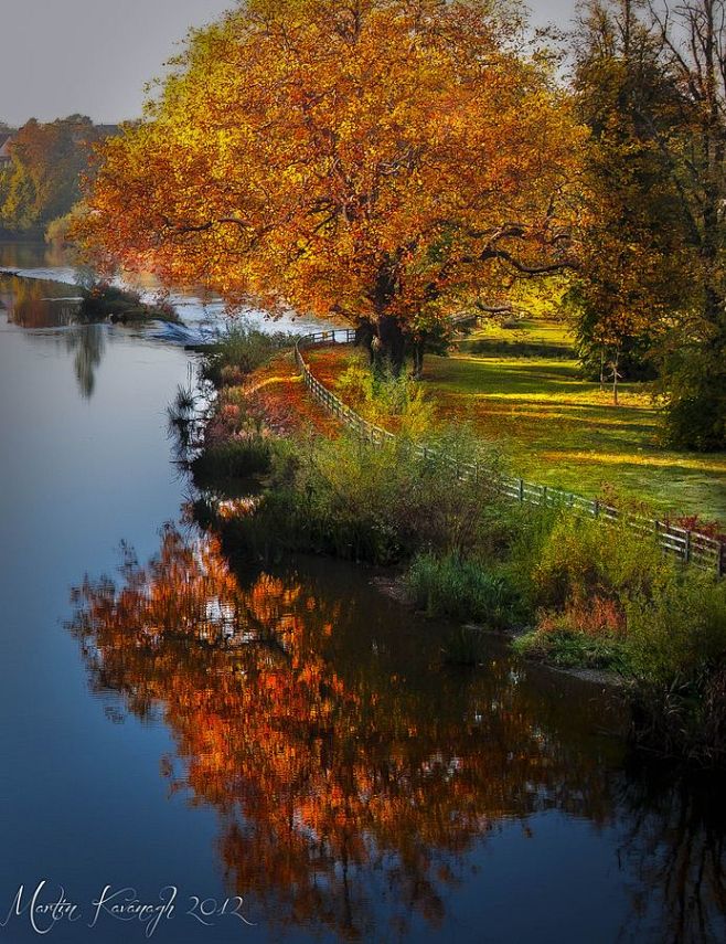 'Autumn' by Martin K...