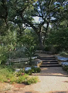 改造后的雨水花园庭院 Rain Garden by Ten Eyck Landscape Architects – mooool木藕设计网