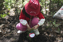 Sunnmoonhave采集到5月11日 龙潭山植树+江边