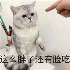 弑拾柒采集到沙雕表情