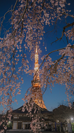 奶茶u采集到景