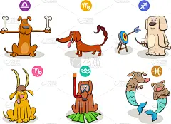 幽默,狗,标志,可爱的,概念,性格,幻想,天文学,算命,收集