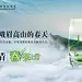 竹叶青专区-竹叶青旗舰店- 天猫Tmall.com