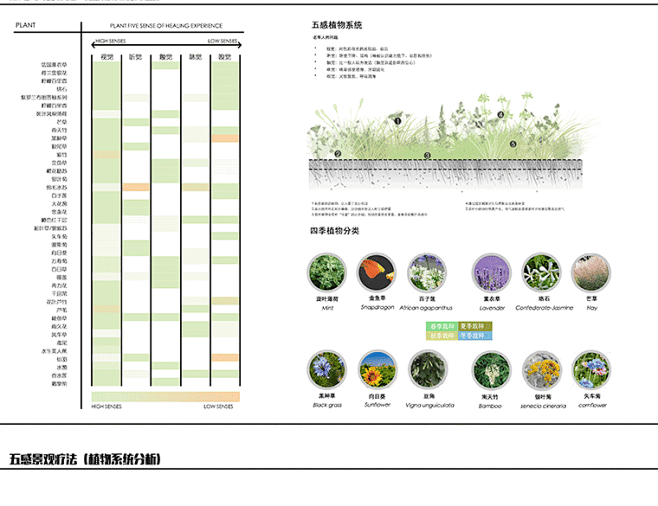 园林植物专项设计前期小清新分析图psd景观ps分层素材参考资料-淘宝网-花瓣网
