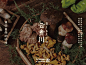 餐饮品牌设计｜云贵川创意菜宣传海报_5_赤角RedAngle_来自小红书网页版